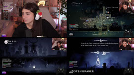 WIR SPIELEN HOLLOW KNIGHT DURCH OH MEIN GOTT !challenge / Neues !yt Video
