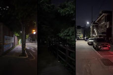 SOUTH KOREA Forest☠️ 4:00AM