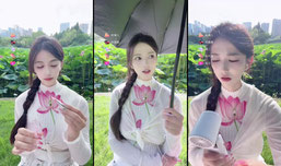 大明湖畔的夏雨荷