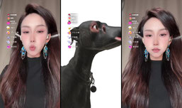 扣1翻白眼 你才是裘千尺