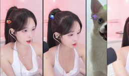 Lets Go LIVE!