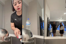 Untitled stream