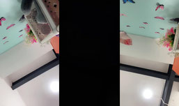 Click for fun!