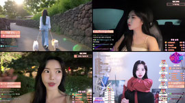 강아지 새벽산책💛[방미또x마싯대]