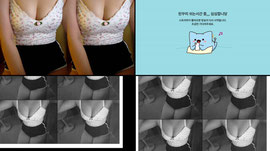 신입] 돌핀! 혜자룰렛 6개