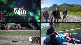 🏔️ ALASKA MARATHON 🐻 NOT GEO 2 w/ @Maya 🫎 DAY 4  🐺 ELECTRIC CONTENT 🏔️