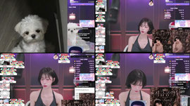 [판타지유] 벌에쏘인은우