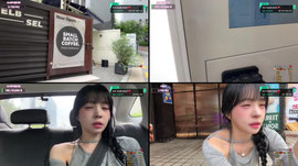 [팀진우:신입] 페스티벌 시그단 춉대는 워터밤 방셀 있어욤