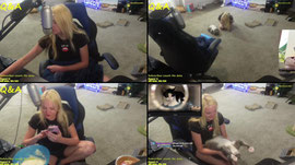 💛Chill stream💛💕back from irl💕 !socials