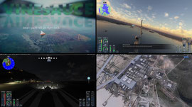 Flight Sim 2024