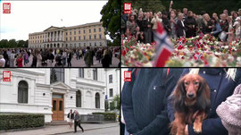 König Harald V. gestorben: Norweger nehmen Abschied von dem Monarchen | BILD LIVE