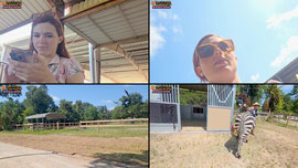 IRL✨BARN STREAM✨HORSES & ZEBRA✨ !s for my socials
