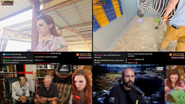 IRL✨BARN STREAM✨HORSES & ZEBRA✨ !s for my socials