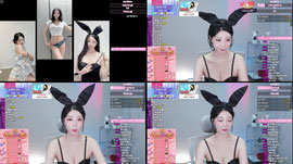 하이레그 바니걸