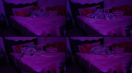 sleepover
