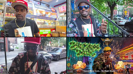 BROOKLYN DAY PARTY NYC