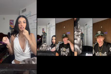 Untitled stream