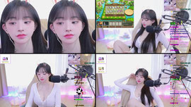 제니스)플단구해요
