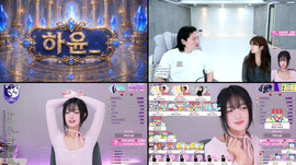 [ 뉴캣슬 ] 행복한하루