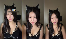 10일차! 고양이당