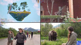 🏔️ ALASKA WILDLIFE CONSERVATION CENTER🐻🌲