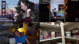 🌺CERTIFIED YAPPER🌺GAMES🌺REACTIONS🌺OMG NO WAY🌺!socials