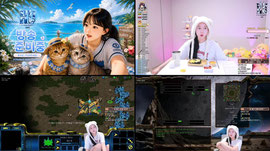 ⭐케이대⭐ 래빙