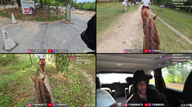 HORSE BACK RIDING + HOUSTON BBQ LATER WE OUTSIDEEEE