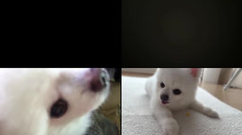 [장지수용소] 목소리를 돌려줘