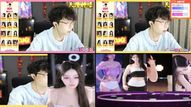【羽】蓝莓狮皇 比赛今晚冠军巅峰 林木哥