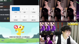 【羽】蓝莓狮皇 念念不忘 钊哥 林木哥