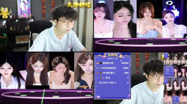 【羽】蓝莓狮皇 念念不忘 钊哥 林木哥