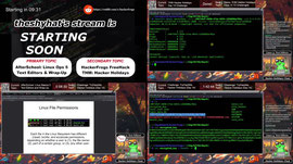 TRYHACKME LIVE! Hacker Holidays Days 11–14 + Linux Hacking