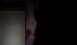 kxxfyzt正在直播