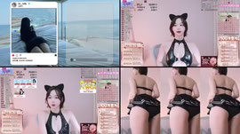 언더붑 고양이 톨 ㅡㅡㅡㅡㅡㅡㅡㅡㅡㅡㅡㅡㅡㅡ멘 오늘 방셀 5756만