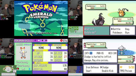 im sick.  SOUL LINK NUZLOCKE tourny WITH MIYOUNG! (also live on yt)