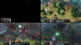 Dota 2 enjoyer