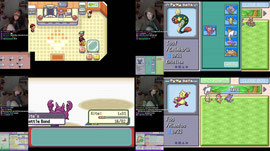 🔴LIVE! im sick. SOUL LINK NUZLOCKE TOURNy WITH MIYOUNG part 4! (also live on twitch)