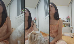 양귀비s SOOPStream.