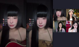 生活不易，小猫卖艺