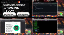 LIVE HACKING & PYTHON CODING! Web, Linux & Binary Exploitation