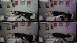 Übernachtungsstream bei @coachlim | !instant !prepmymeal !sourire !kc
