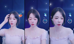 어디갔었어? 하찌 복귀