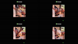 Transmisión en directo de lovereply