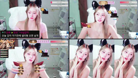 불토는 여우와 함께❤️ 리방.해써여...