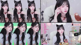 팬더클래스) 냐오옹...