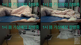 [수니그룹] 사옥에서 24시간 잠방 1시 쯤 기상