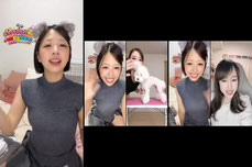 天才犬とアホ飼い主見ていく？