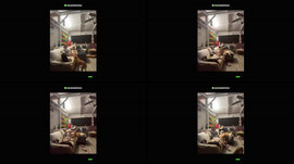 Watching the Beastie Boys story