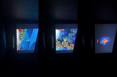 Finding nemo PS2
